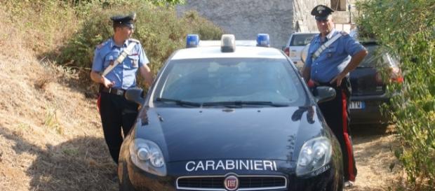 Coppia aggredita da branco di cinghiali a Cefalù Coppia aggredita da branco di cinghiali a Cefalù