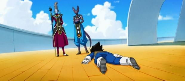 Vegeta intentando servir a Bills en todo Vegeta intentando servir a Bills en todo