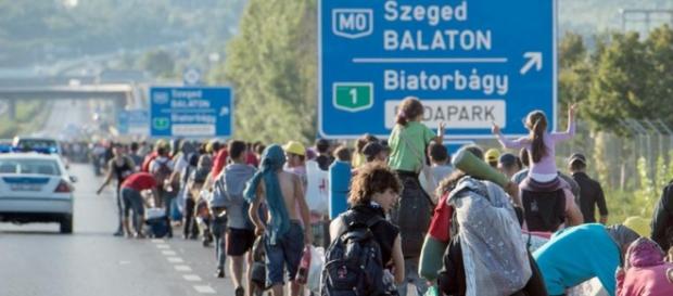 Refugiati sirieni in mars catre Germania. Refugiati sirieni in mars catre Germania.