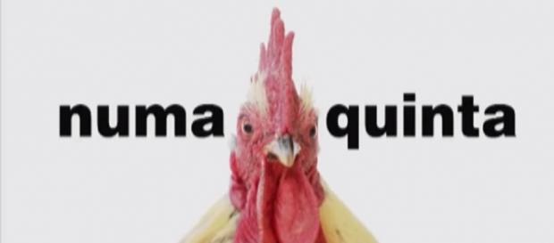 Vai haver poupança no novo reality show da TVI Vai haver poupança no novo reality show da TVI