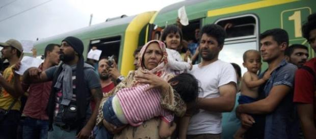 Czy imigranci naprawdę potrzebują pomocy? Czy imigranci naprawdę potrzebują pomocy?