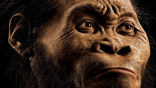 Ricostruzione dell'Homo Naledi