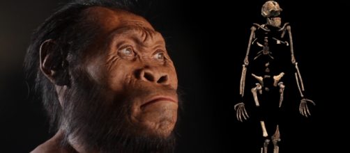 Ecco l'Homo Naledi, il nostro più vicino antenato