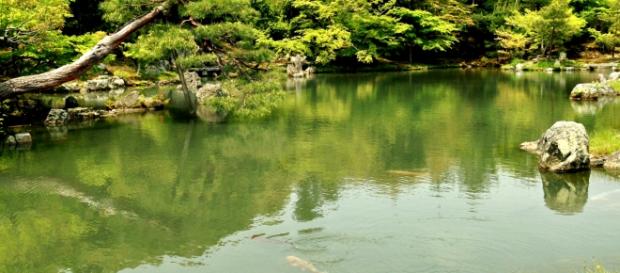 Powódź stulecia. Tokio i okolice pod wodą. Powódź stulecia. Tokio i okolice pod wodą.