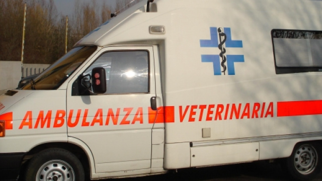 Pistoia: nasce l’ambulanza veterinaria.