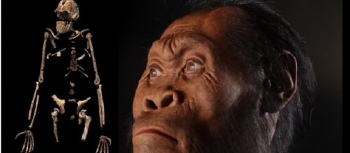 Struttura ossea e viso dell'Homo Naledi