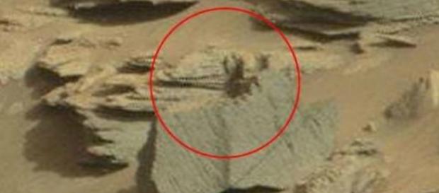 Il presunto scorpione nero avvistato da Curiosity Il presunto scorpione nero avvistato da Curiosity