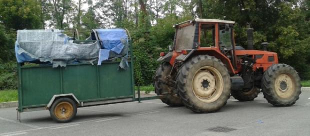 Trattore e rimorchio per il trasporto del bovino Trattore e rimorchio per il trasporto del bovino