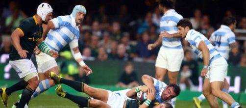 Los Pumas integran el grupo C del Mundial