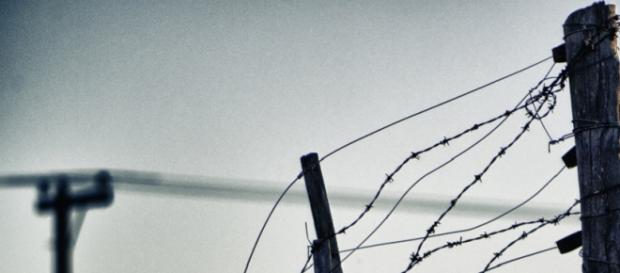 Filo spinato nella frontiera dell'Ungheria Filo spinato nella frontiera dell'Ungheria