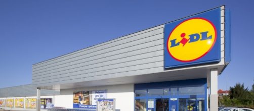 Lidl: come candidarsi e posizioni ricercate