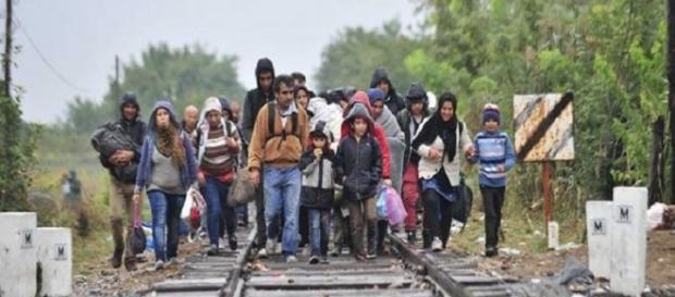 Wędrówka imigrantów. Główny cel: Niemcy Wędrówka imigrantów. Główny cel: Niemcy