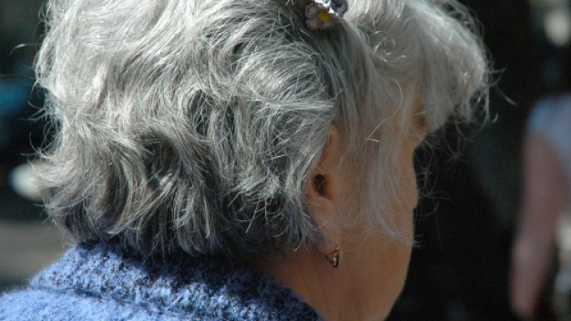 Pensioni anticipate, ultime news al 17/9