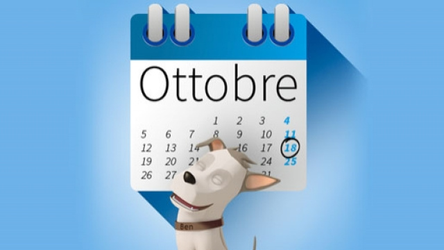 Con Benassicura polizze più convenienti