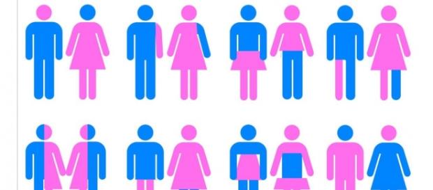 Gender identity- płeć kulturowa Gender identity- płeć kulturowa