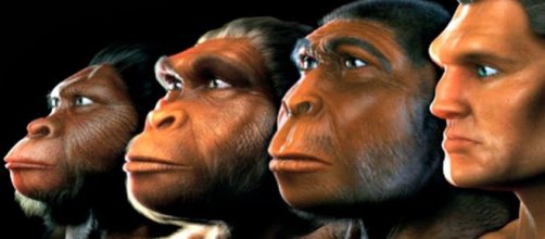 Cuatro etapas de la evolución humana