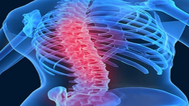 Il mal di schiena lungo i centri del dolore