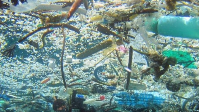 Inquinamento marino (rifiuti in mare)