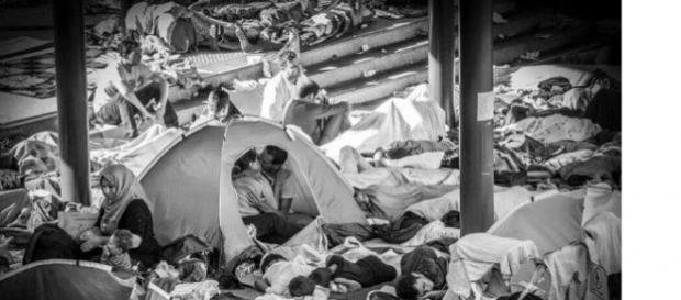 Doi refugiați sărutându-se pe tărâmul durerii Doi refugiați sărutându-se pe tărâmul durerii