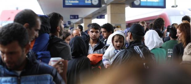 Imigranci muzułmańscy w Europie Imigranci muzułmańscy w Europie