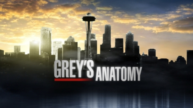 Grey's Anatomy 12 esordisce il 24 settembre
