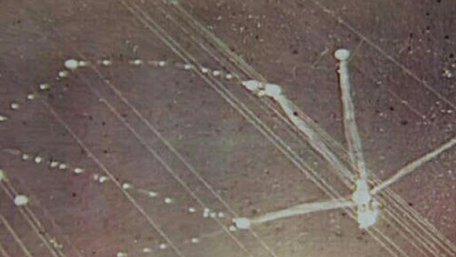 Zeta Reticuli disegnata da Betty Hill