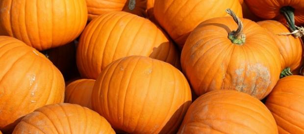 L'autunno è la stagione delle zucche L'autunno è la stagione delle zucche