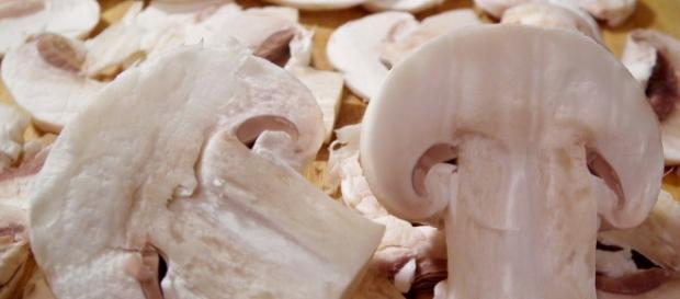 I funghi sono ottimi anche in una zuppa calda I funghi sono ottimi anche in una zuppa calda