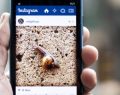Una red social que no para de crecer: Instagram ya tiene mas de 400 millones de usuarios