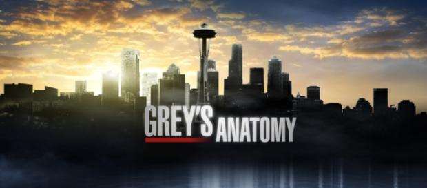 Anticipazioni Grey's Anatomy 12x02 Anticipazioni Grey's Anatomy 12x02