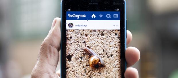 Instagram la red que mas crece Instagram la red que mas crece