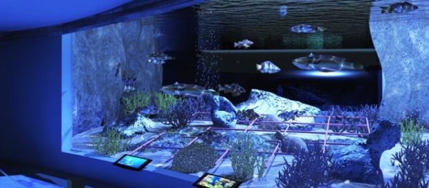 Roma avrà il suo acquario nel 2016 Roma avrà il suo acquario nel 2016