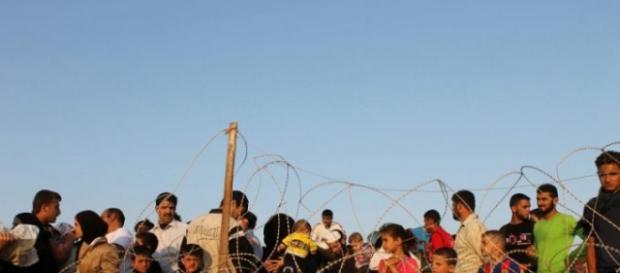 Imigranci zatrzymani przez drut kolczasty. Imigranci zatrzymani przez drut kolczasty.