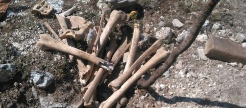 Le ossa umane trovate presso l'Eremo di S. Martino