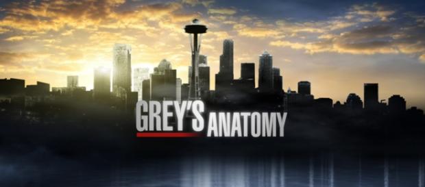 Grey's Anatomy 12: news prime due puntate Grey's Anatomy 12: news prime due puntate