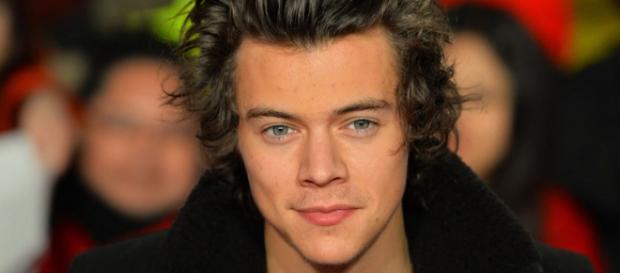 Harry Styles confessa ter muita roupa que não usa. Harry Styles confessa ter muita roupa que não usa.