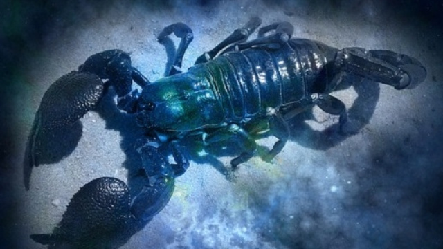 Oroscopo di ottobre 2015 Scorpione