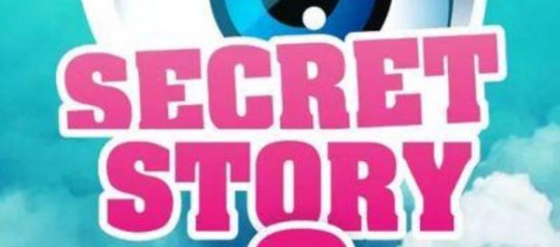 Logo de l'émission secret Story Logo de l'émission secret Story