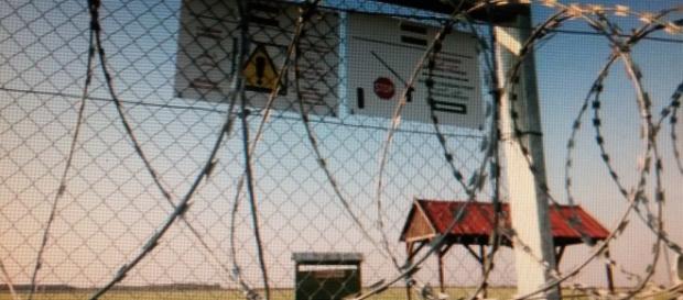 Les barbelés n'évitent pas le passage des migrants Les barbelés n'évitent pas le passage des migrants
