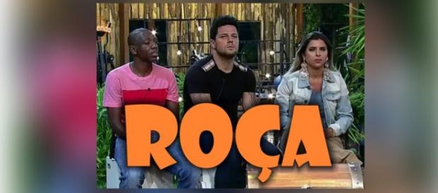 A formação da roça surpreendeu a todos A formação da roça surpreendeu a todos