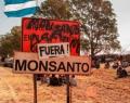 La nueva ofensiva de Monsanto en los medios masivos de Córdoba