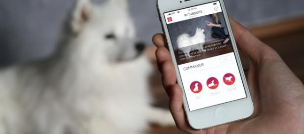 Tractive, dispositivos para mascotas Tractive, dispositivos para mascotas