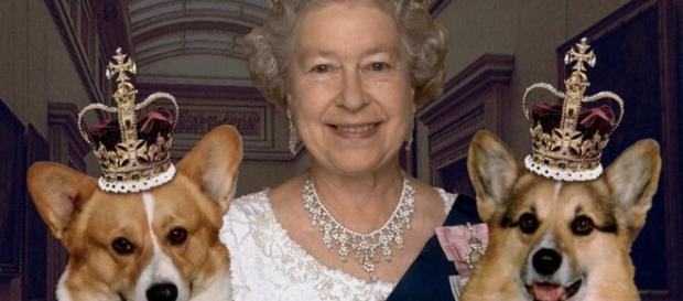 Elisabeta a II-a îndrăgostită de căței corgi Elisabeta a II-a îndrăgostită de căței corgi