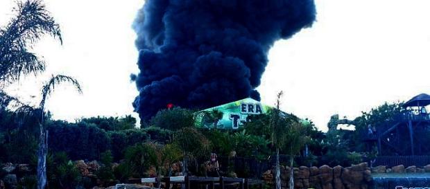 Incêndio obrigou à evacuação sectorial do parque Incêndio obrigou à evacuação sectorial do parque