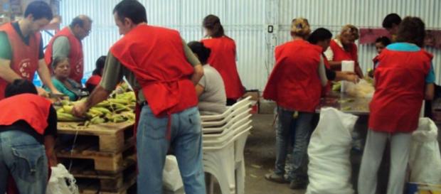Voluntarios del Banco Alimentario de La Plata Voluntarios del Banco Alimentario de La Plata