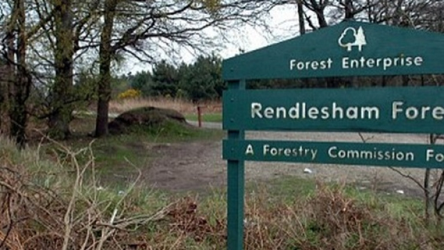 Cartello all'entrata della foresta di Rendlesham.