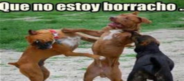 El alcoholismo es incurable, progresivo y mortal El alcoholismo es incurable, progresivo y mortal