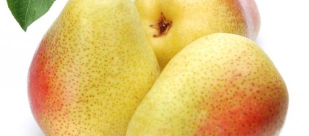 As frutas são benéficas para saúde As frutas são benéficas para saúde