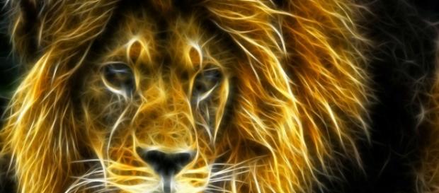 sporting luta com garra leonina e vence, sempre. sporting luta com garra leonina e vence, sempre.