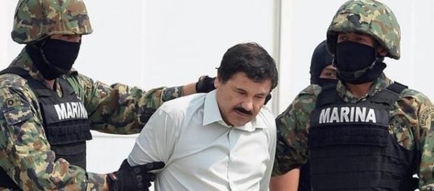 El Chapo fue detenido el viernes. El Chapo fue detenido el viernes.